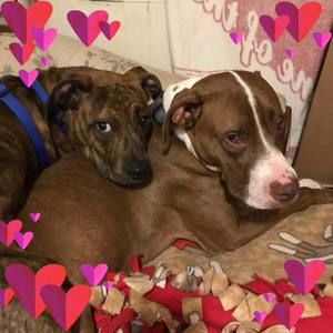 Meet your Posher, Tammy